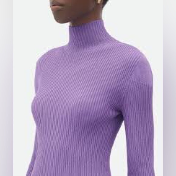 Bottega Venetta Purple Wool Ribbed Turtleneck Sweater - Picture 3 of 6